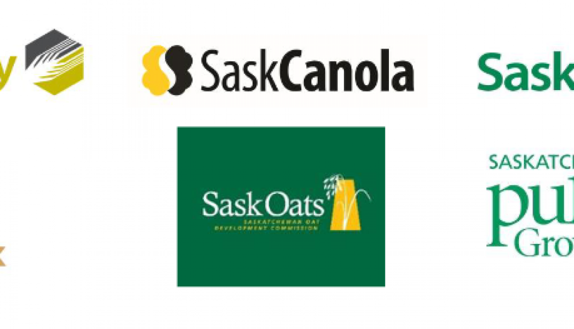 saskbarleyletterheader