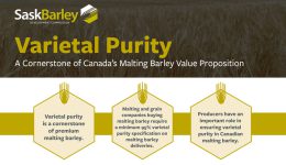 varietal-purity-pdf_v2