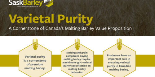 varietal-purity-pdf_v2