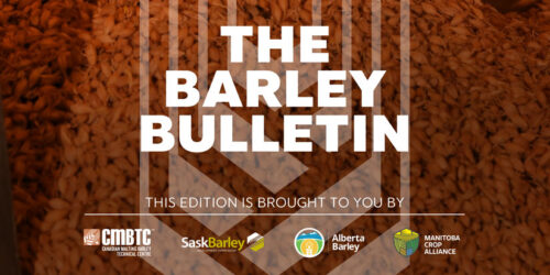 bb-cover