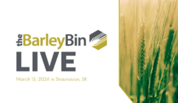 SaskBarley_BarleyBinLive-Mar2024-opt