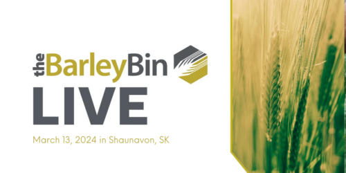 SaskBarley_BarleyBinLive-Mar2024-opt