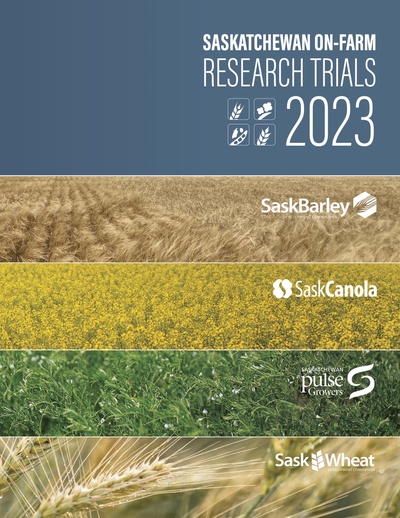 Download SaskBarley's Barley Seeding Rates Results  (pdf)