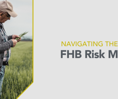 Navigating the new FHB Risk Maps
