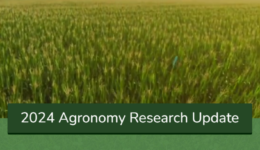 Agronomy Research Update 2024