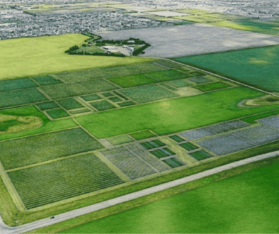 Crop Development Centre aerial view