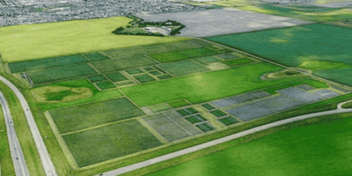 Crop Development Centre aerial view