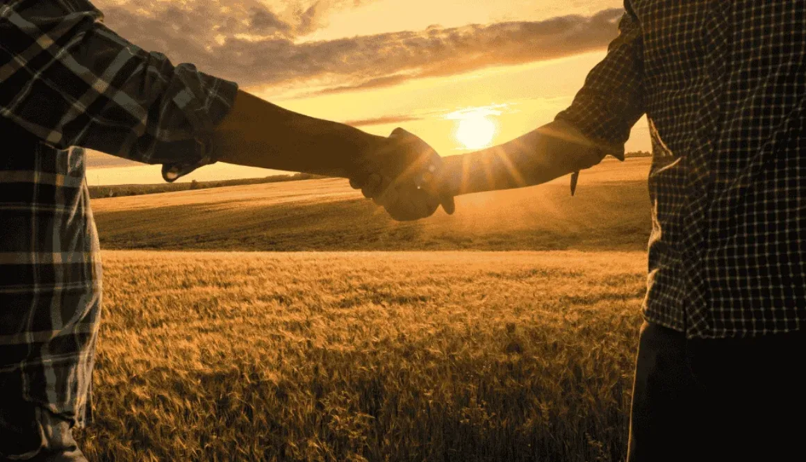 new directors -election results 2025