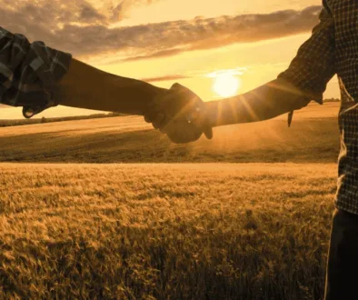 new directors -election results 2025 new directors -election results 2025