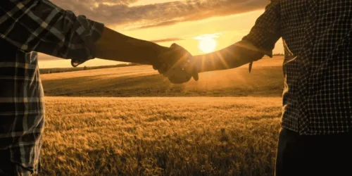 new directors -election results 2025