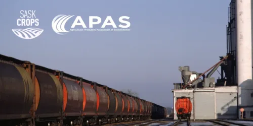 Press release title card