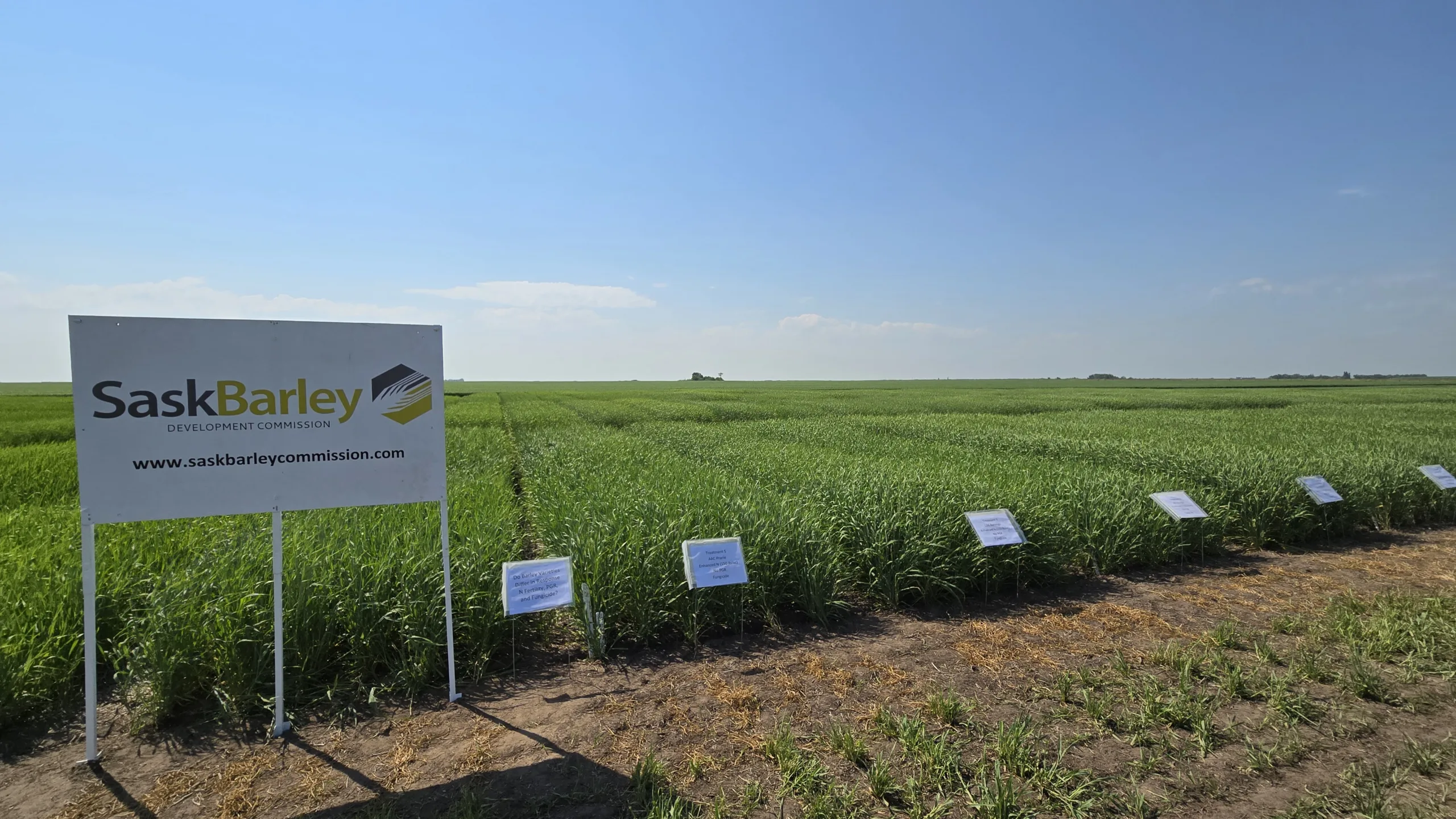 SaskBarley funded research at Agri-ARM sites