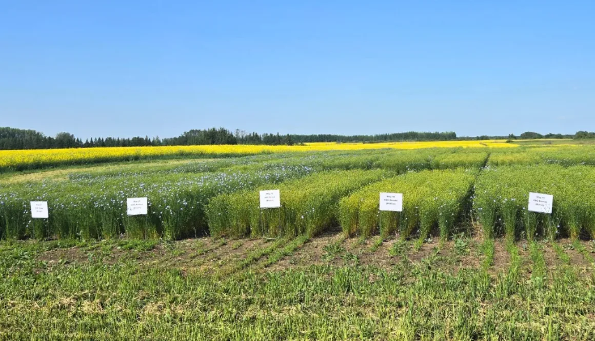 July 17 2026 - SaskAg MOU