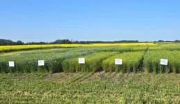 July 17 2026 - SaskAg MOU