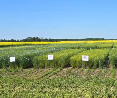July 17 2026 - SaskAg MOU July 17 2026 - SaskAg MOU