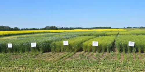 July 17 2026 - SaskAg MOU