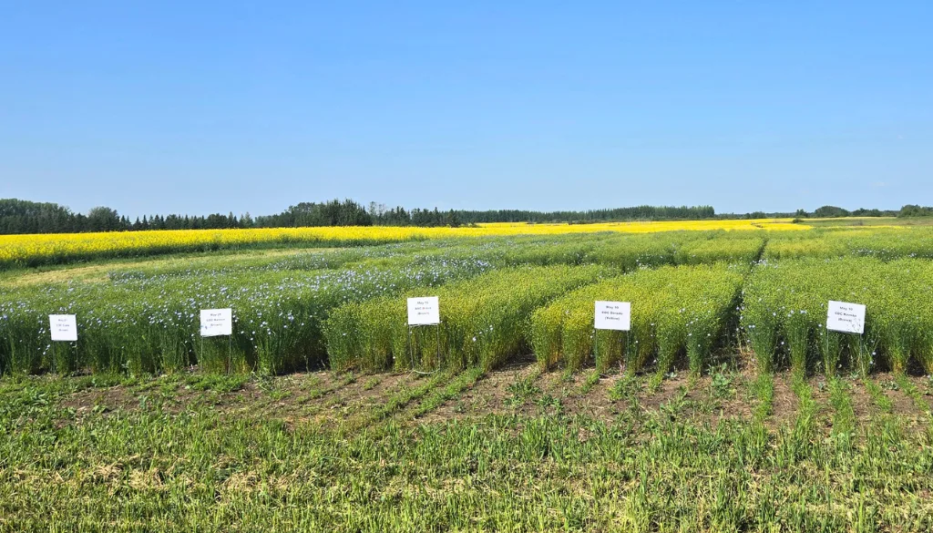 July 17 2026 - SaskAg MOU