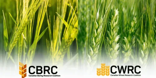 CBRC and CWRC Formal Collaboration join release web