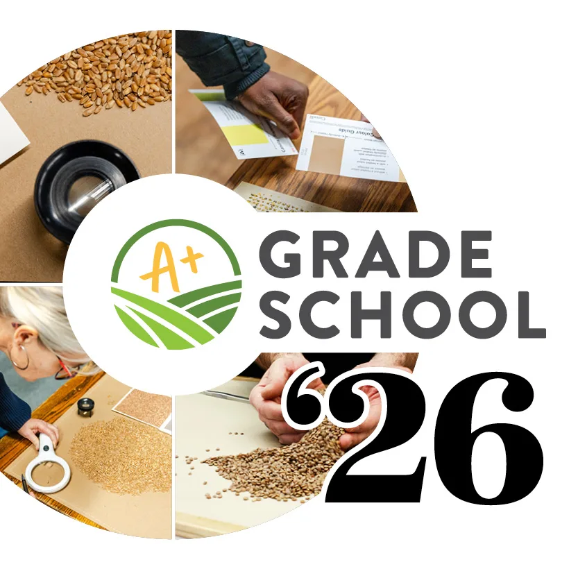 Grade School 2026